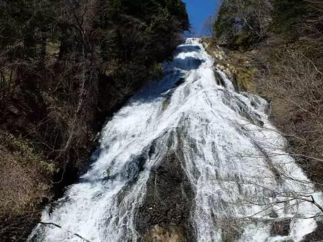 怎样优雅地拒绝情侣换座游戏画面